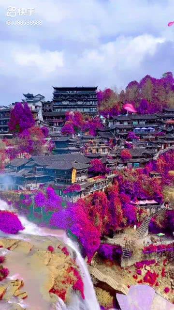 动物帮帮忙保卫家园