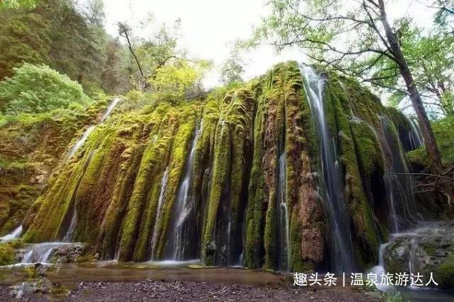 聪明蜗牛千问, 韩式烤五花肉怎么做?等你来解答!