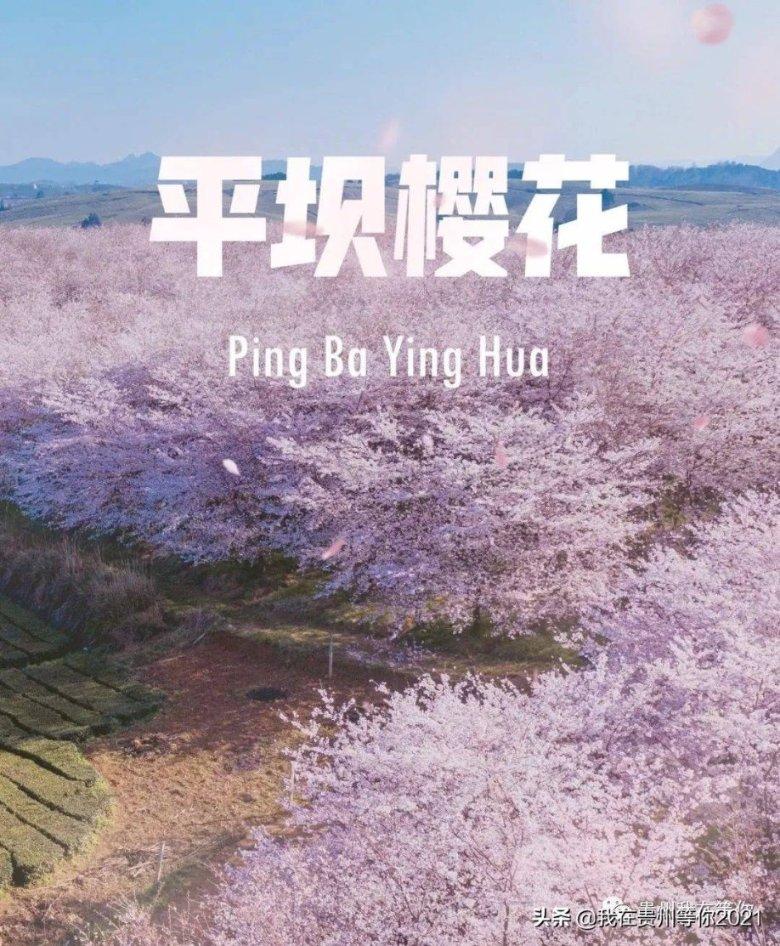 雷竞技比分