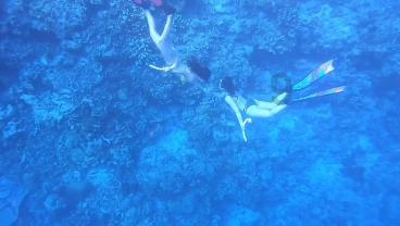 脑洞小老弟无实名认证