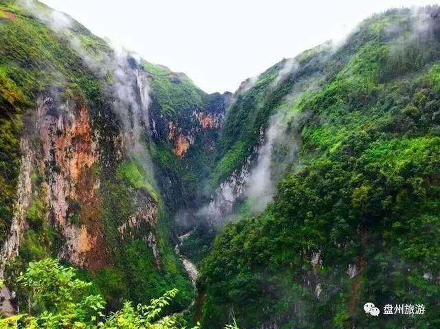 万词王